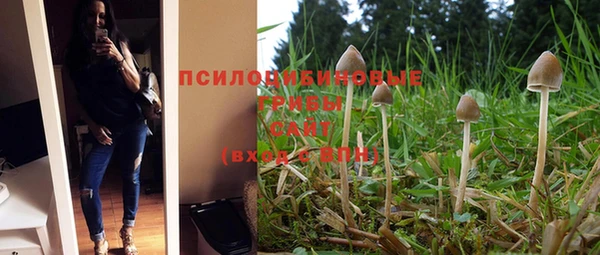 меф Каменка