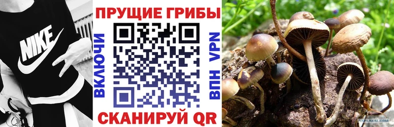 Псилоцибиновые грибы мухоморы Североуральск