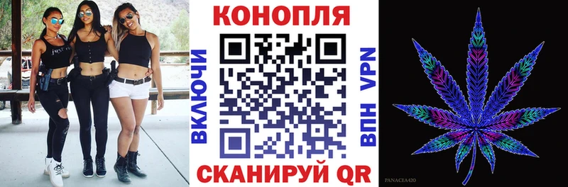 Купить закладки  Североуральск  Каннабис Amnesia 